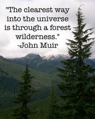 John Muir Quotes On Love. QuotesGram via Relatably.com