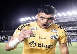 حارس أجنبي يقترب من النصر في الشتاء