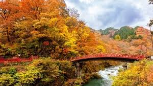 速報！宇宙から見た紅葉の絶景！今すぐチェック！ - Imagen principal del artículo