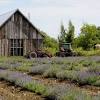 Story image for banque de terres de Brome-Missisquoi from La Terre de chez nous