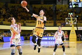 WKBL, 국민은행 강이슬·박지수 등 2026년 FA 대상자 10명 공시
