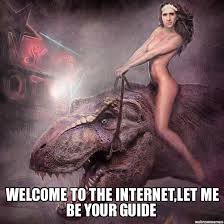 Image result for welcome to the internet meme