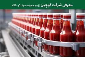 زمان عرضه اولیه «کوچین» مشخص شد ؛ شرکتی از خانواده کاله