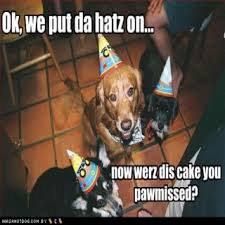 Image result for bangla funny comments
