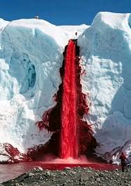 National Geographic's 15 best pH๏τos in the WORLD. | Facebook
