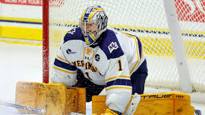 KLART: Jättemålvakten till Nybro Vikings