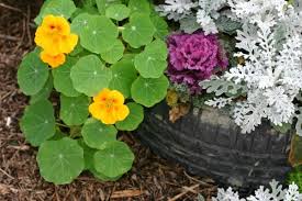 Image result for flowers on tires