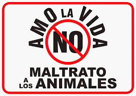 Resultado de imagen para IMAGENES SOBRE NO AL MALTRATO ANIMAL