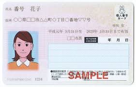 パンデミックや物価高対策でマイナンバー活用し現金を直接給付…政府がシステム整備へ（読売新聞オンライン）