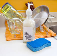 dishwashing liquid ile ilgili görsel sonucu