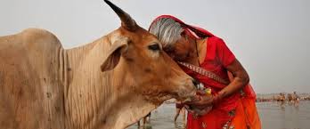 Image result for indian railway accidents gaisal
