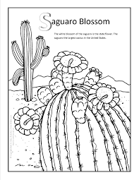 Résultat de recherche d'images pour "cactus coloring pages"