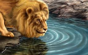 Lion King Wallpapers HD