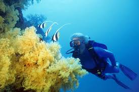 Jean-Michel Cousteau's Fiji Resort: A Model for Sustainable Travel