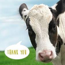 images?q=tbn:ANd9GcQQA4EmhRV3lHegMTPx1I0ESimtQSoH-mbw3PQCgZudvkbhKyUg