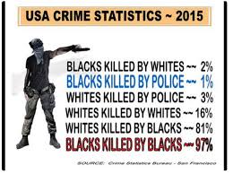 Résultat de recherche d'images pour "black on white crime"