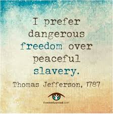 Quotes About Freedom on Pinterest | Quotes About Stupidity, Quotes ... via Relatably.com