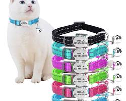 custom cat collar with a cat's photo on itの画像