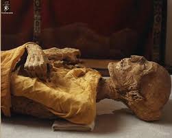 Is there a more magical image that conveys such peace and tranquility? Good time to everyone ❤️