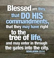 Trust and Obey on Pinterest | Proverbs, The Lord and Psalms via Relatably.com