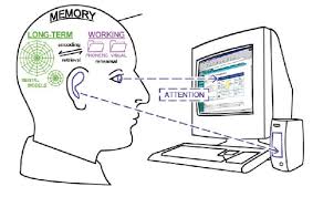 Image result for human information cognitive theory