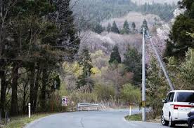 岩手警察遭遇熊袭受伤，女性遗体惊现现场！