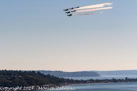 West Seattle Blog... - News update