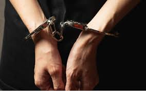 News source: 文春オンライン