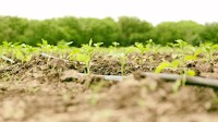 NASA Harvest explores new methods for monitoring soil moisture