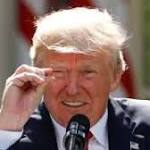 Trump marks year Mueller probe