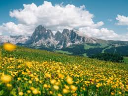 Dove Viaggi Corriere