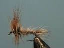 Hare's ear dry fly