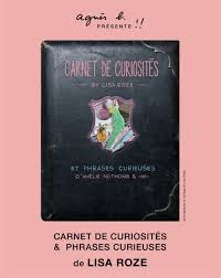 Lisa Roze | Retour sur l'exposition Carnet de curiosités & phrases curieuses