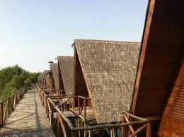 Image result for suaka margasatwa muara angke