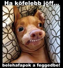 images?q=tbn:ANd9GcQRATTfMf85gTWAYAZ227f1zR0geiMdu2hlg_8jX3aEx8Co96eH2w