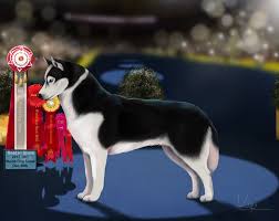 Résultat de recherche d'images pour "dog show"