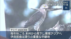 QAB 琉球朝日放送 - News update