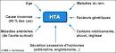 Causes de l hta