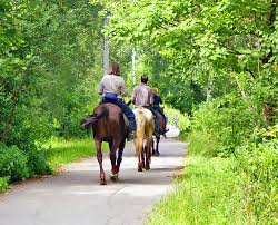 Image result for pictures of things to do in the great smoky mountains
