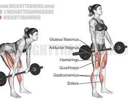 Image of Romanian deadlifts exercise