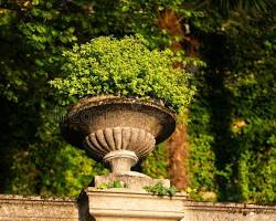 Hình ảnh về natural stone planter in a lush garden