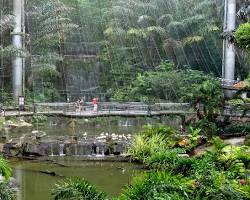 پارک پرندگان کوالالامپور مالزی -  جاذبه‌های گردشگری مالزی