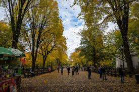 Fall weather forecast showing regional September conditions across the United States