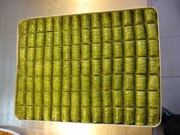 images?q=tbn:ANd9GcQRYPytxWa7uWl_4jt4ahcg9Zfhnh9H22j5qYNElf19yl6ezH08