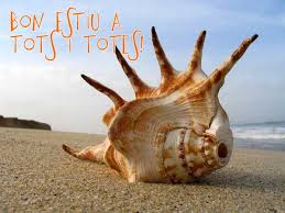 Estiu