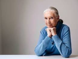 jane goodall