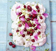 Image result for pavlova