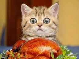 images?q=tbn:ANd9GcQRe9CwPY4YOVIsbZ6OZbV4qHLeUgVApv80S30aMkpTivPaUI0R