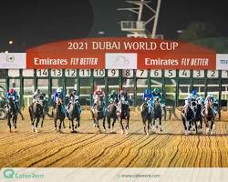 مسابقات اسب‌دوانی در دبی -  آفر تور دبی