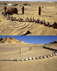 The walking whales of Egypt: Fossils in the desert are remains of sea mammals that ruled the oceans 37 million years ago . The arid desert sands of Egypt are not the